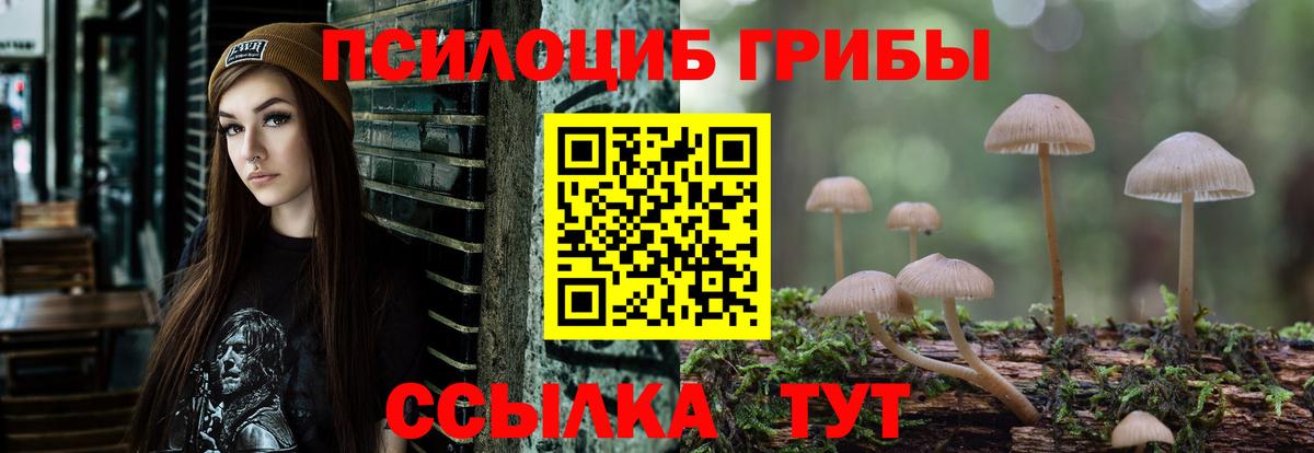 Чапаевск  Псилоцибиновые грибы мицелий  Вход с VPN  цена наркотик  Галлюциногенные грибы Psilocybine cubensis 